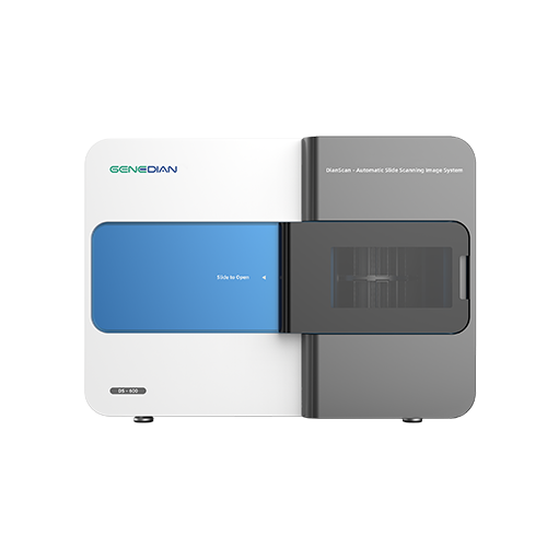 M&aacute;y Qu&eacute;t Ti&ecirc;u Bản Kỹ Thuật Số DS-120